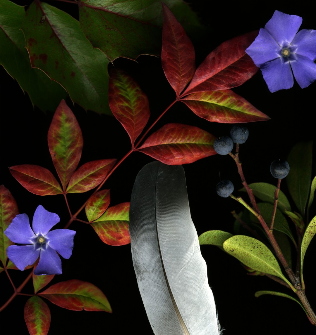 High resolution photography